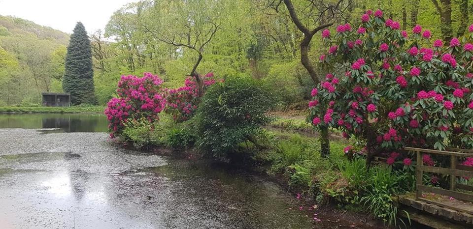 Trelawney Cottage, Sleeps Up To 4, Wifi, Fully Equipped Menheniot Extérieur photo