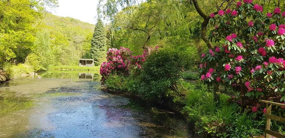 Trelawney Cottage, Sleeps Up To 4, Wifi, Fully Equipped Menheniot Extérieur photo